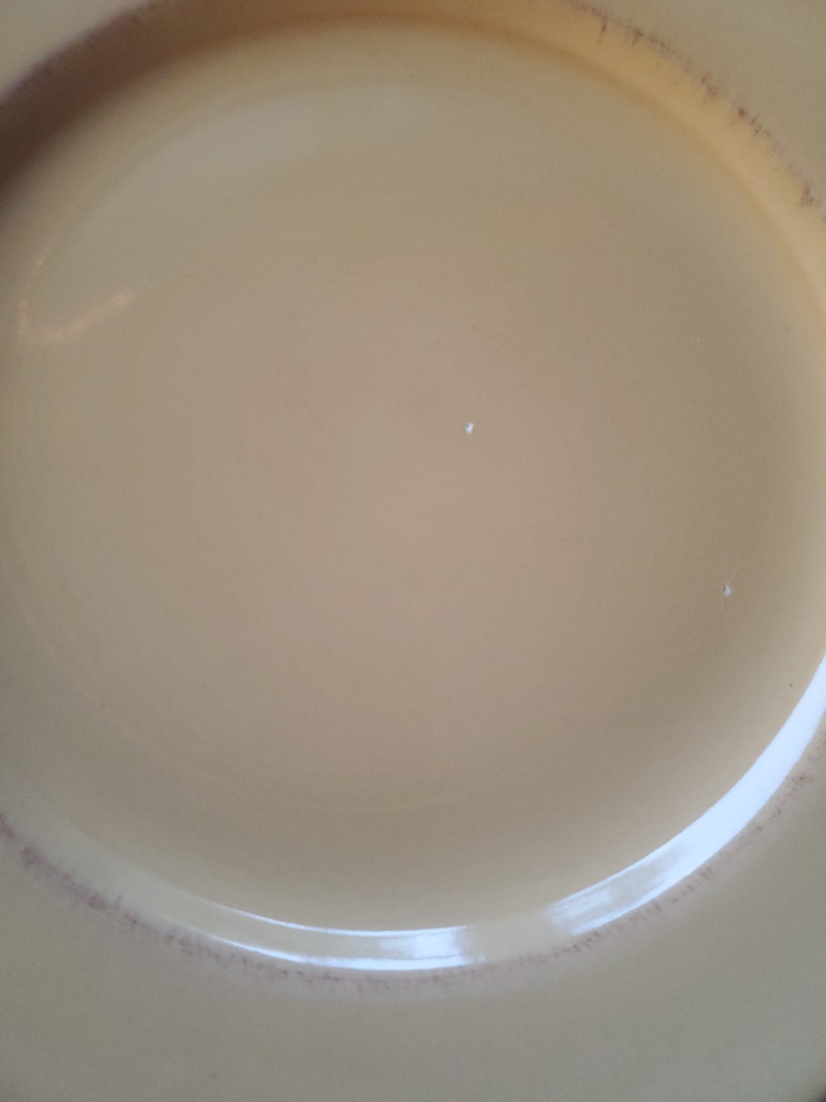 Pier 1 Toscana Gold Italy 11" Earthenware Dinner Plates 11.25” 11 1/4” Set Of 2