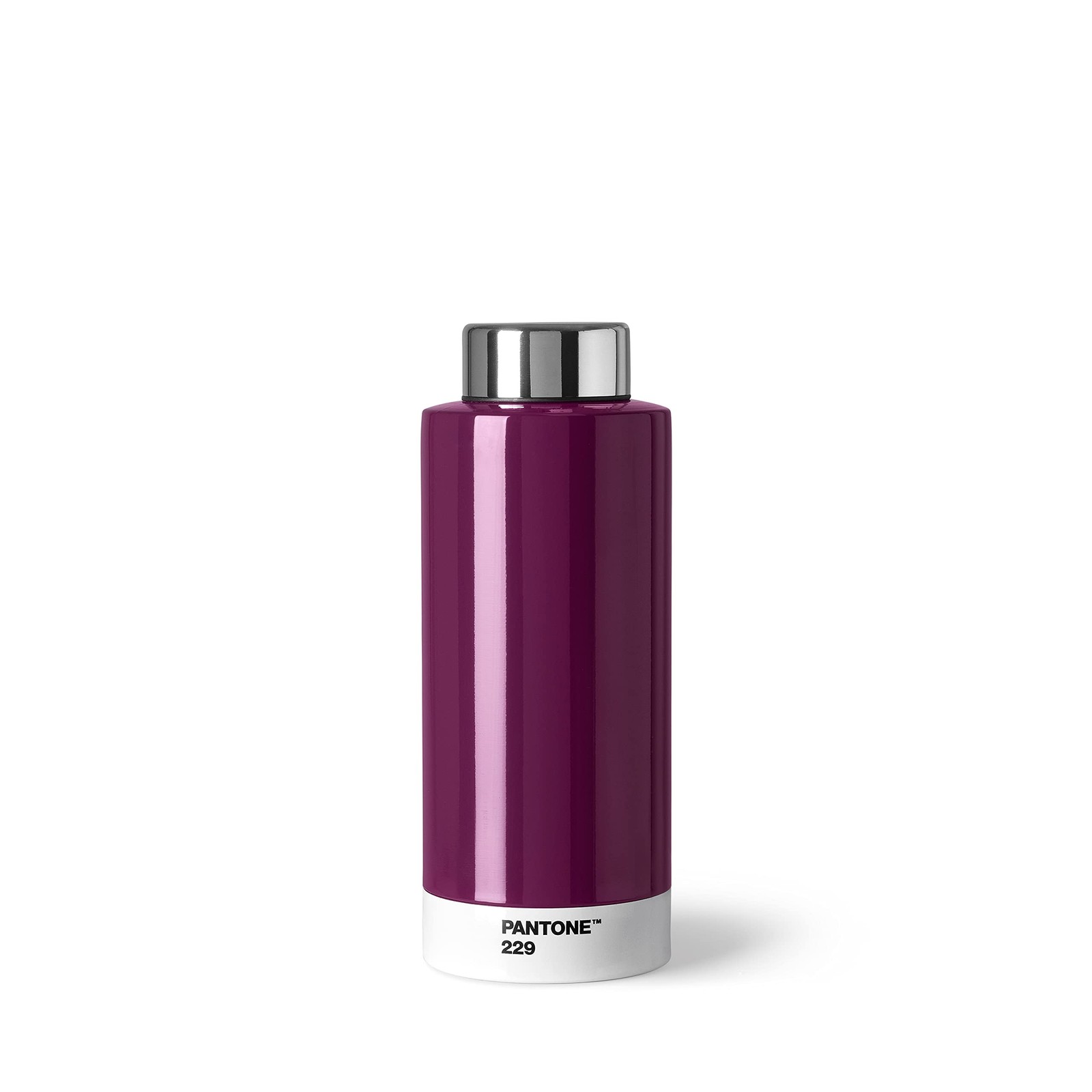 PANTONE Aubergine 229 Double Walled Stainless Steel Water Bottle with Thermal Fu