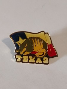TEXAS Flag Armadillo Tourist Souvenir Lapel Pin
