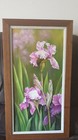 Bild 10 von 12