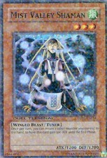 Mist Valley Shaman - DT01-EN014 - Super Rare - Duel Terminal Lightly Played Duel