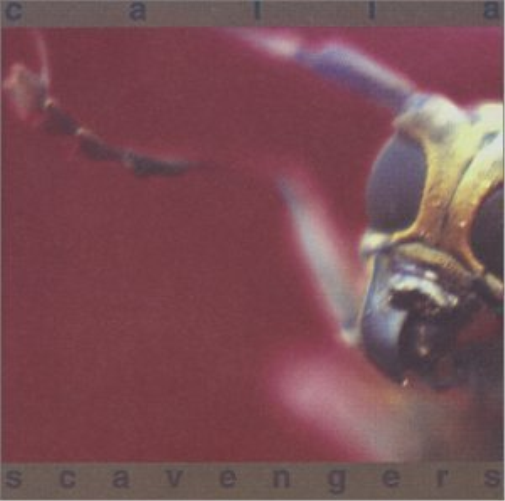 Calla Scavengers (CD) Album