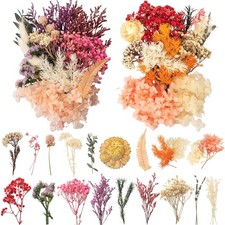 2 S&auml;tze Trockenblumen, Trockenblumen zum Basteln, Getrocknete Blumen Deko f&uuml;r...