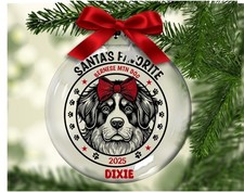 Bernese Mtn Dog Personalized - Floating Glass Ornament