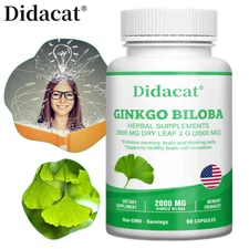 Ginkgo Biloba Extract - Standardized 2000 mg 60 Capsules