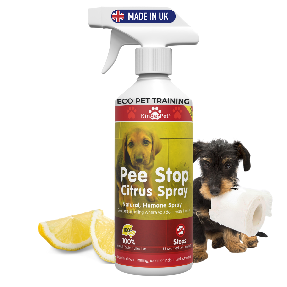 Training Spray Best Dog Pee Repellent Spray NaturVet Potty Here