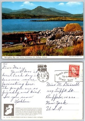 1966 Bertraghboy Bay, Connemara, Ireland John Hinde Postcard Donkey Cart