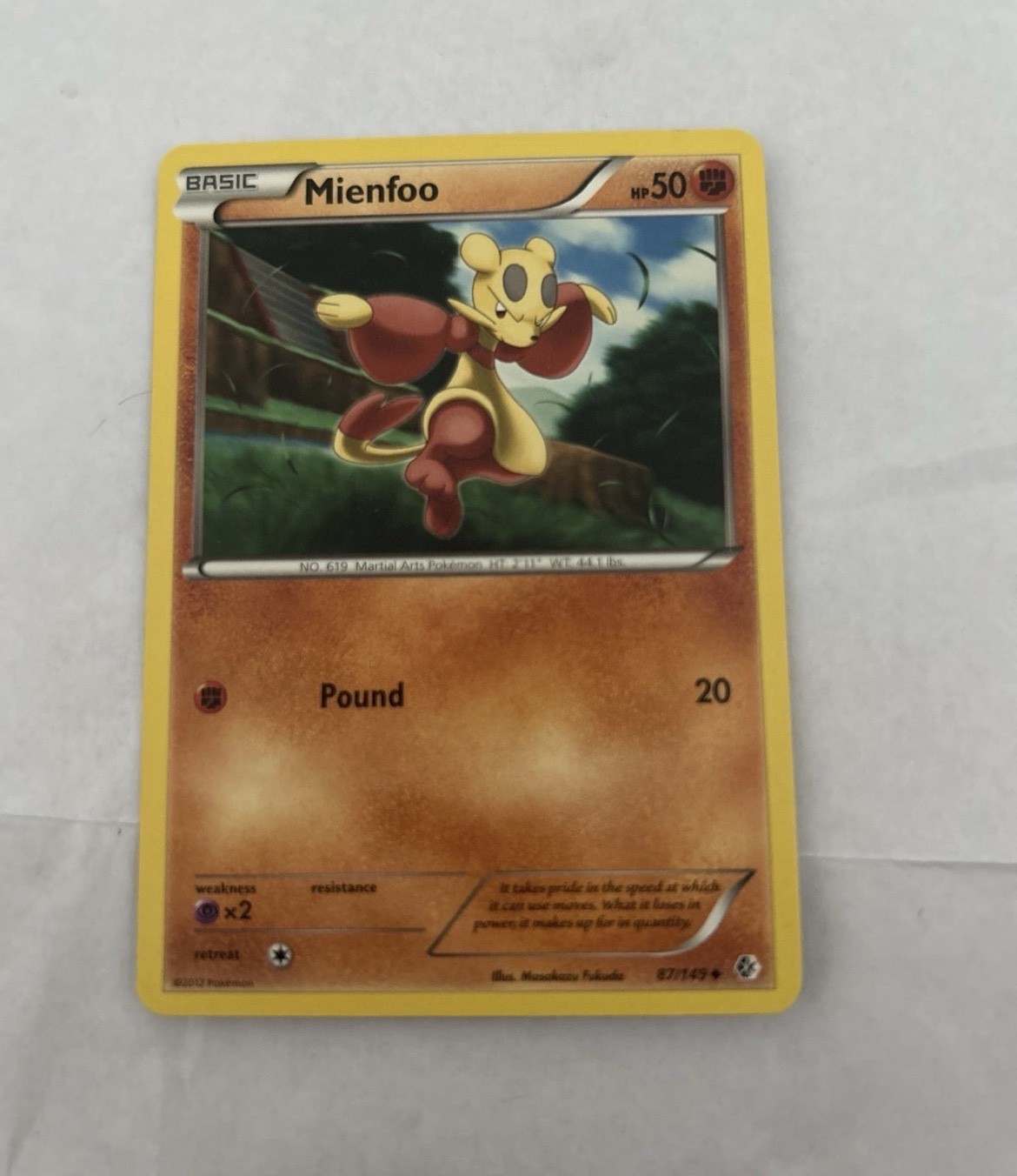 Mienfoo 87/149 Boundaries Crossed Regular