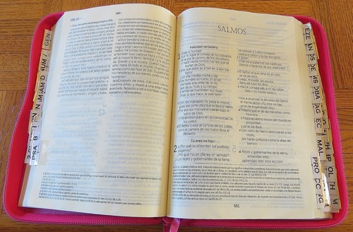 Holy Bible in SPANISH with Deuterocanonicals FUCHSIA ZIPPER 2000 dios habla hoy - Foto 9 di 10