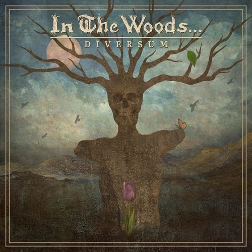 Audio Cd - In The Woods... - Diversum - Soulseller Records -D- Neu-image