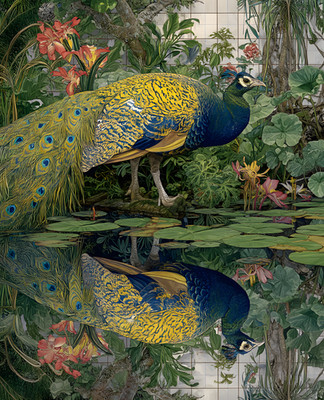 8x10 Wildlife Nature Animal Art Print - 909712107