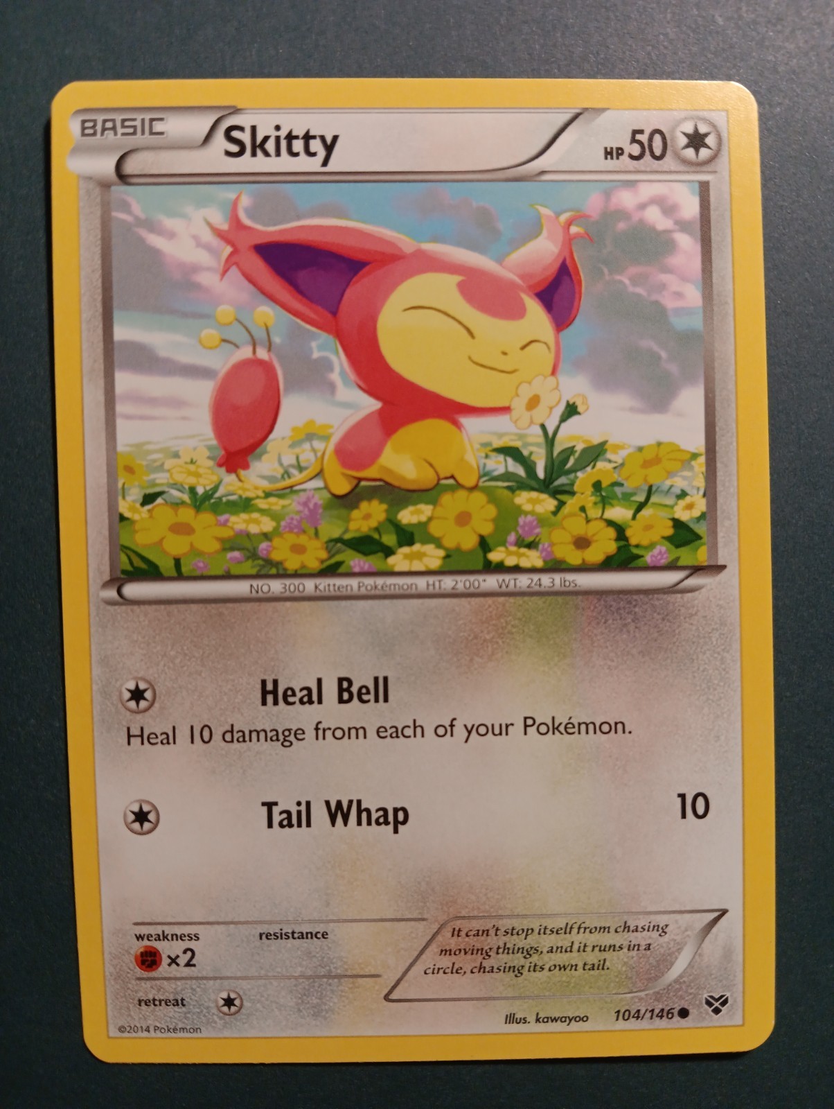 Skitty 104/146 XY Regular