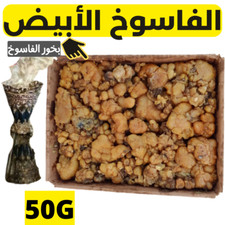 Fassoukh morocco 50G Moroccan Fassoukh -                     50 -            