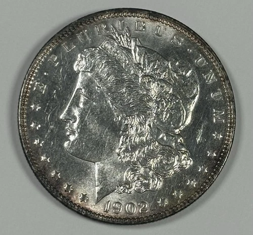 1902 MORGAN DOLLAR UNC DETAILS