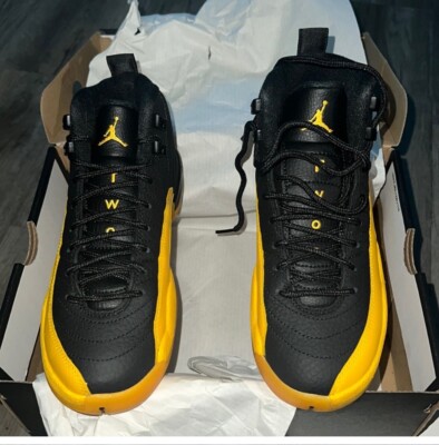 retro 12 university gold gs