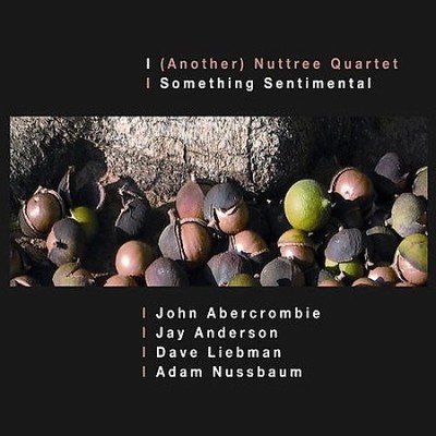 Something Sentimental by  [CD]