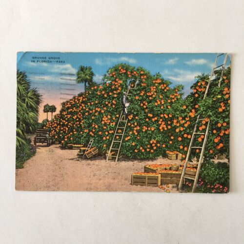 Orange Grove Florida Postmark Daytona Beach 1939 Posted Postcard - Picture 2 of 4