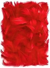 150 Stück Rot Deko Federn 10g Flaumfedern Schmuckfedern Vogelfedern