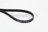 Keilrippenriemen Continental Ctam 5PK1245 FÜR Mercedes Poly V Riemen