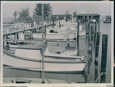 1959 Boat Basin Improvements In Dunedin Wirephoto 6X8