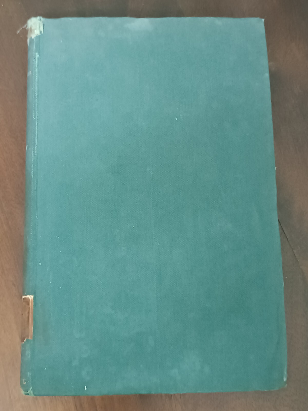 Picture 3 of 13