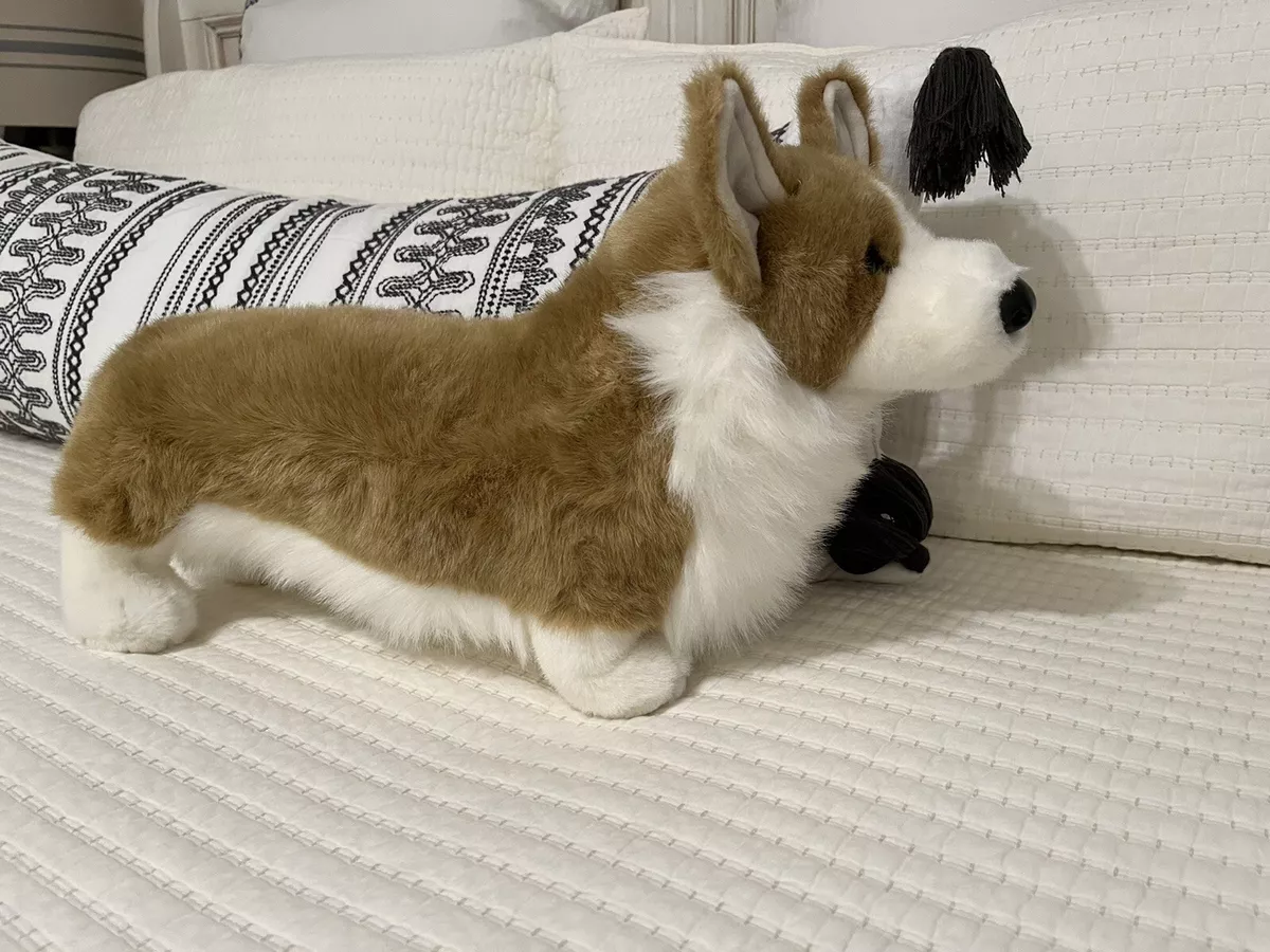 Chadwick Corgi