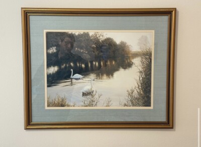 Beautiful ''Swans on the River'' Framed Art Print 31x25