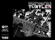 Teenage Mutant Ninja Turtles #1 40th Anniversary Edition 2024 FINE+ to VERY FINE