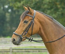 Trense ALLROUND-Hannover Busse schwarz