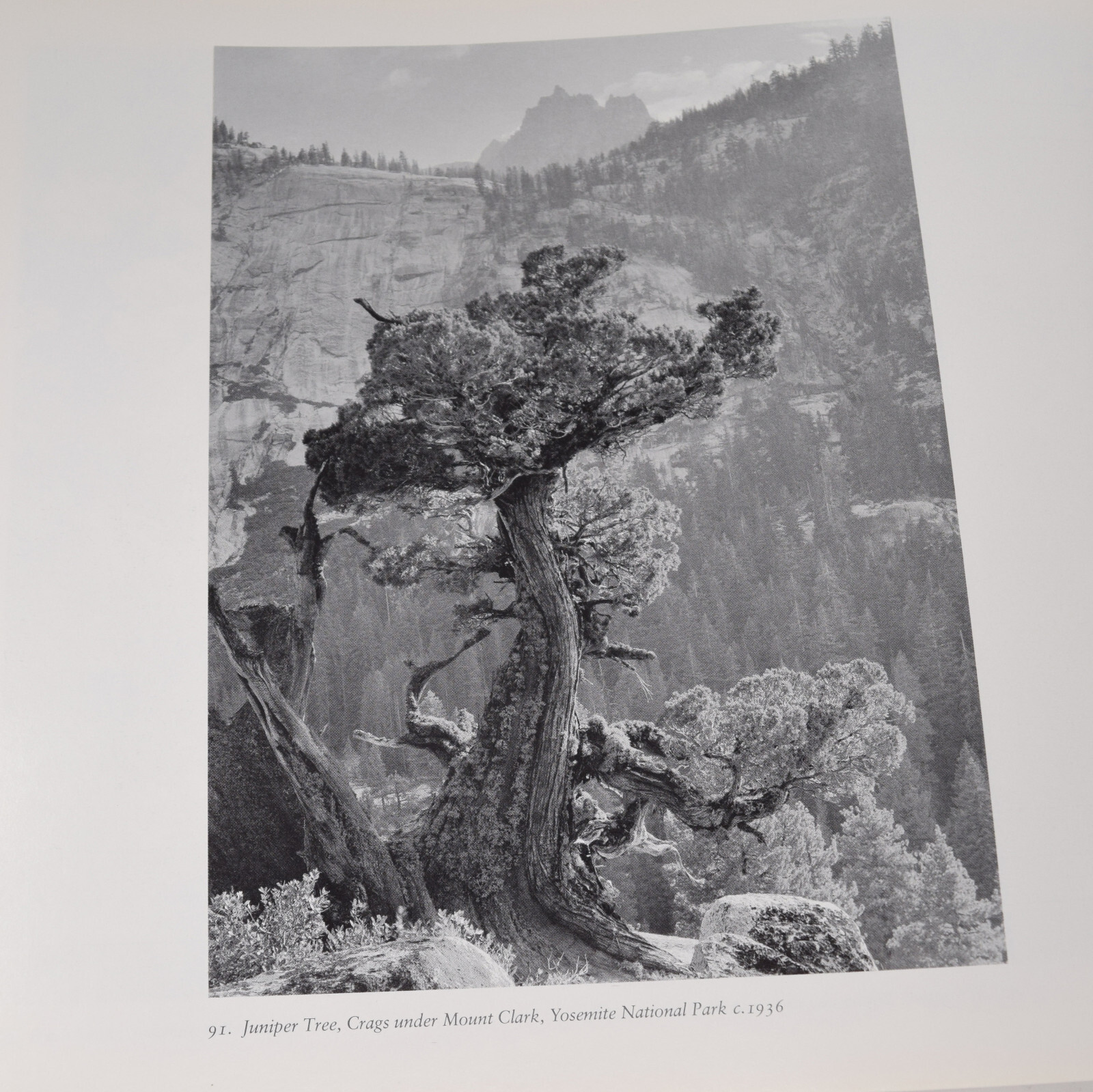 Picture 16 of 21