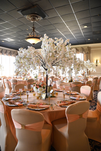Your Chair Covers - Stretch Spandex Banquet Chair Covers for parties and events - Picture 21 of 307