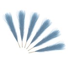 Bild 11 von 12