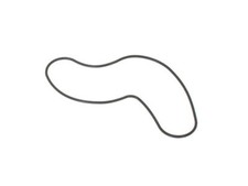 Water Pump Gasket For 2003-2024 Honda Pilot 2004 2011 2005 2009 2006 MQ435BG