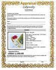 GENUINE 0.73 Cts RUBY TURTLE RING 10k YELLOW GOLD - Free Appraisal Service - NWT — photo 7