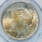 1924 Peace Silver Dollar PCGS MS 63 $1 — photo 3