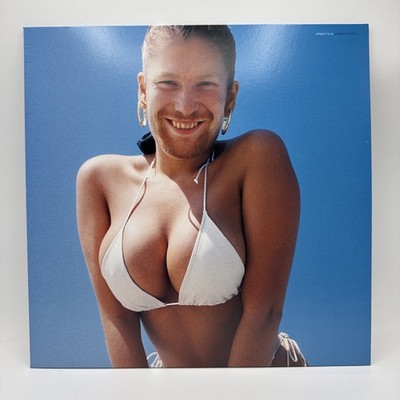 Aphex Twin Windowlicker Vinyl Single 12inch NEAR MINT Warp A2 / B2 Pressung
