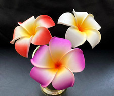 3 plumerias, Fuchsia, Vermillion and White flower pen, Gift Under 12, flowerpen