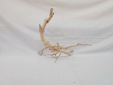 Aquascaping Natural and Wild Driftwoods for Aquarium and Fish Tank Hardscapes