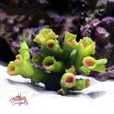 Resin Landscape Decorate Aquarium Fake Coral Reef Artificial Ornament Fish Tank