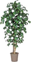 Artplants Deko Kamelie Jasminde, NaturstäMme, Mit BlüTen, Weiß, 225Cm