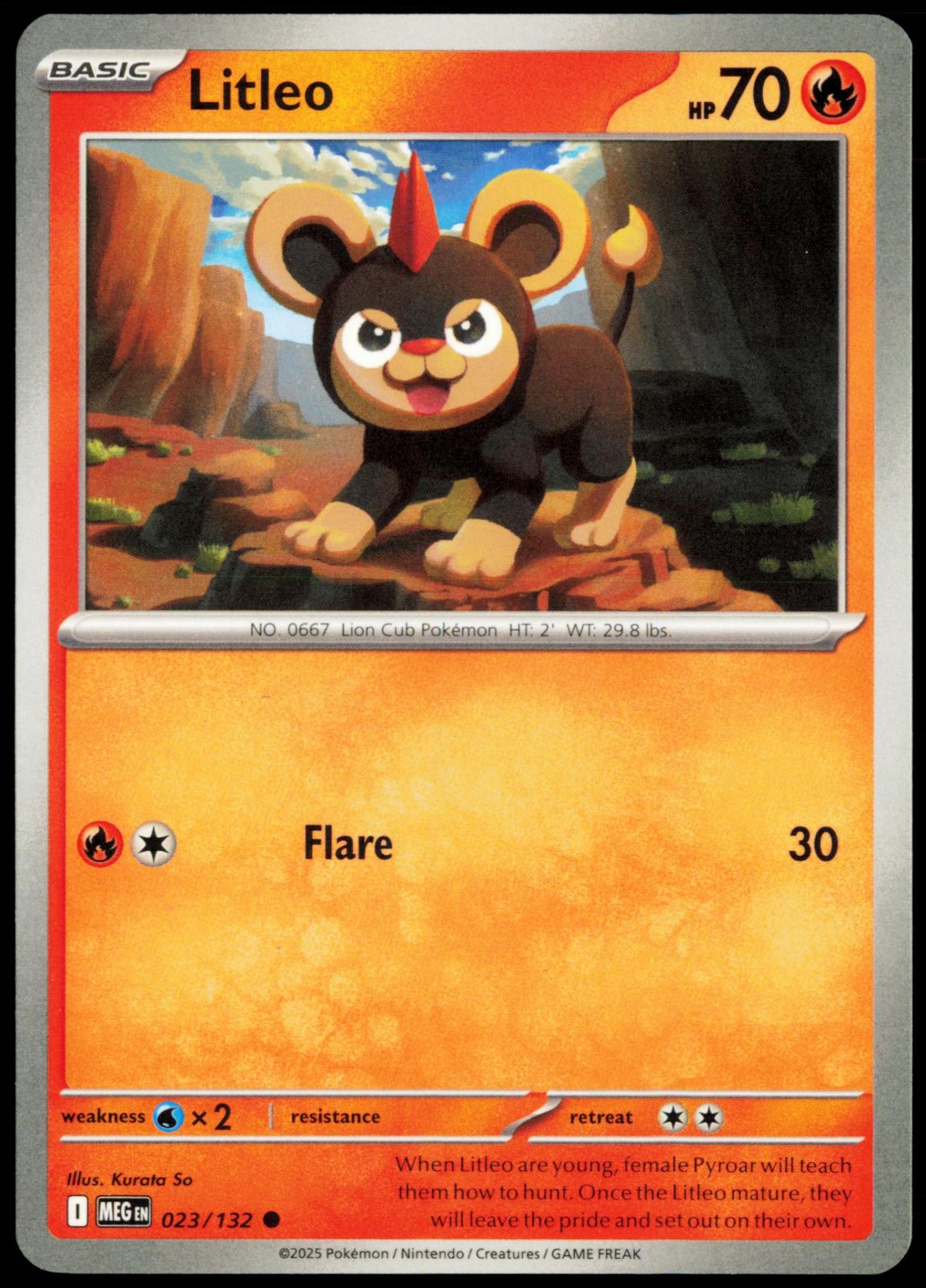 Litleo 023/132 Common Mega Evolution NM Pokemon MEG