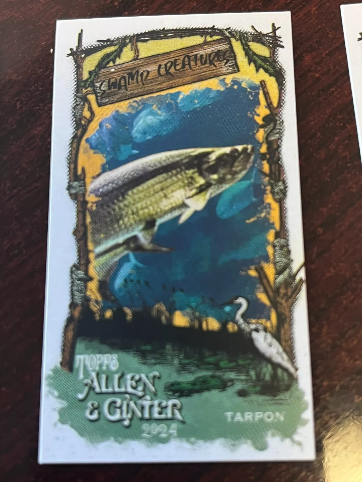 Tarpon trading card