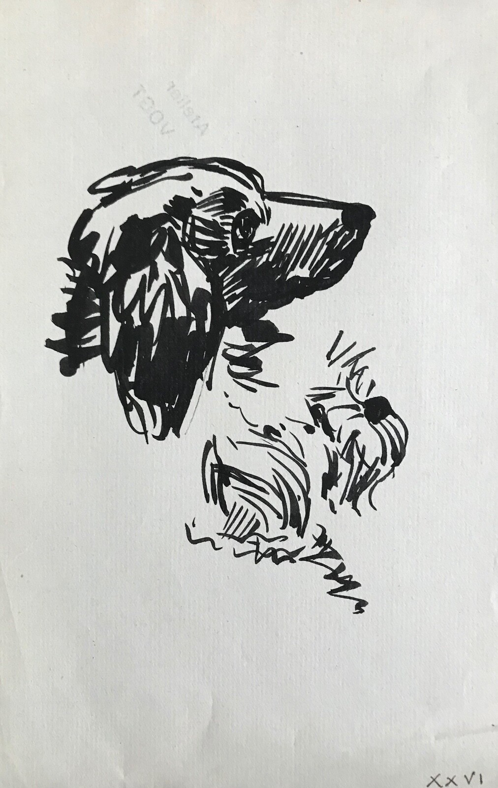 Hélène Vogt original ink drawing of a dog Dog 23