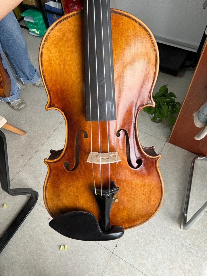 Professional 4/4 handmade violin quality spruce top maple back nylon