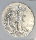 2009 AMERICAN SILVER EAGLE ~ NGC MS69 ~ BROWN LABEL ~ 1 OZ .999 SILVER
