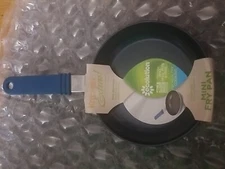 ecolution kitchen 5 inch fry pan