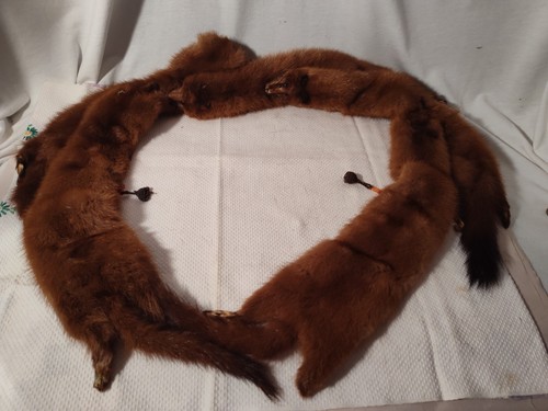 Vintage 5 Full Bodies Mink Fur Shoulder Wrap Stole - Picture 18 of 22