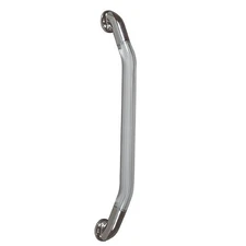 Interior/Exterior Lighted Assist Pull-Grab Handle