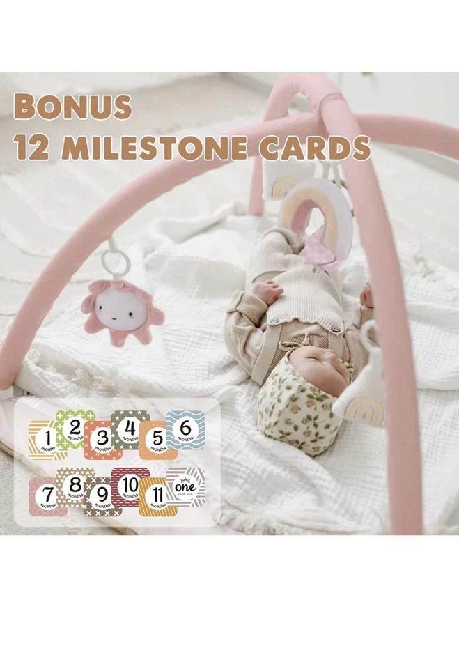 Pink Play Gym Foto 2 de 4