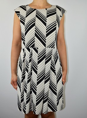 oasis glitter chiffon skater dress